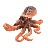 Octopus Trinket Box From Juliana Treasured Trinkets