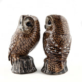 Quail Ceramics: Salt & Pepper Pots; Tawny Owls