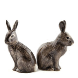 Quail Ceramics: Salt & Pepper Pots: Wild Rabbits