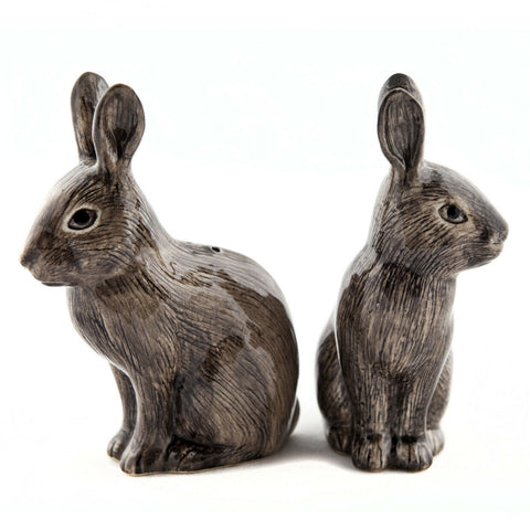Quail Ceramics: Salt & Pepper Pots: Wild Rabbits